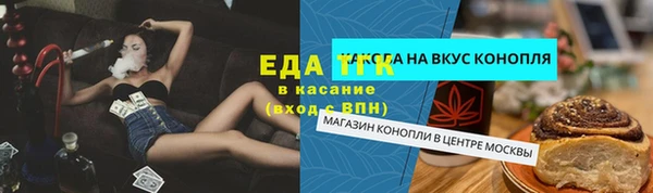 дмт Пересвет