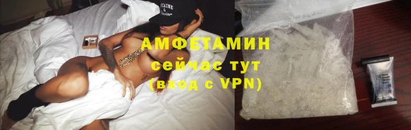 дмт Пересвет