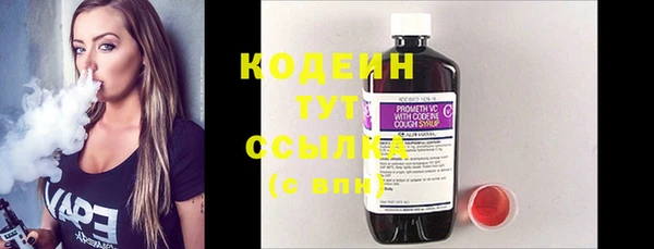 дмт Пересвет
