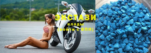 дмт Пересвет