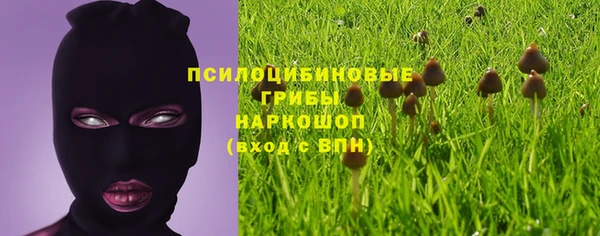 гидра Пестово
