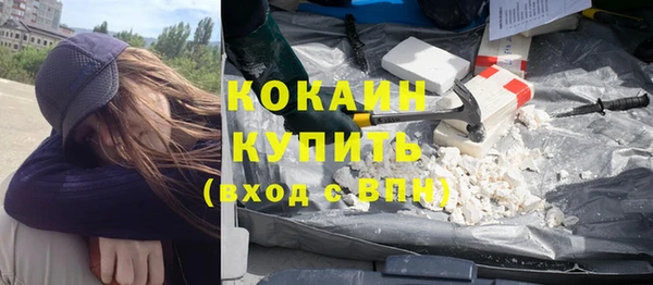 дмт Пересвет