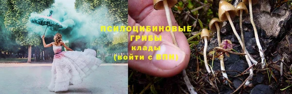 дмт Пересвет