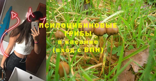 дмт Пересвет