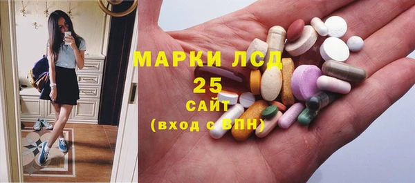 дмт Пересвет
