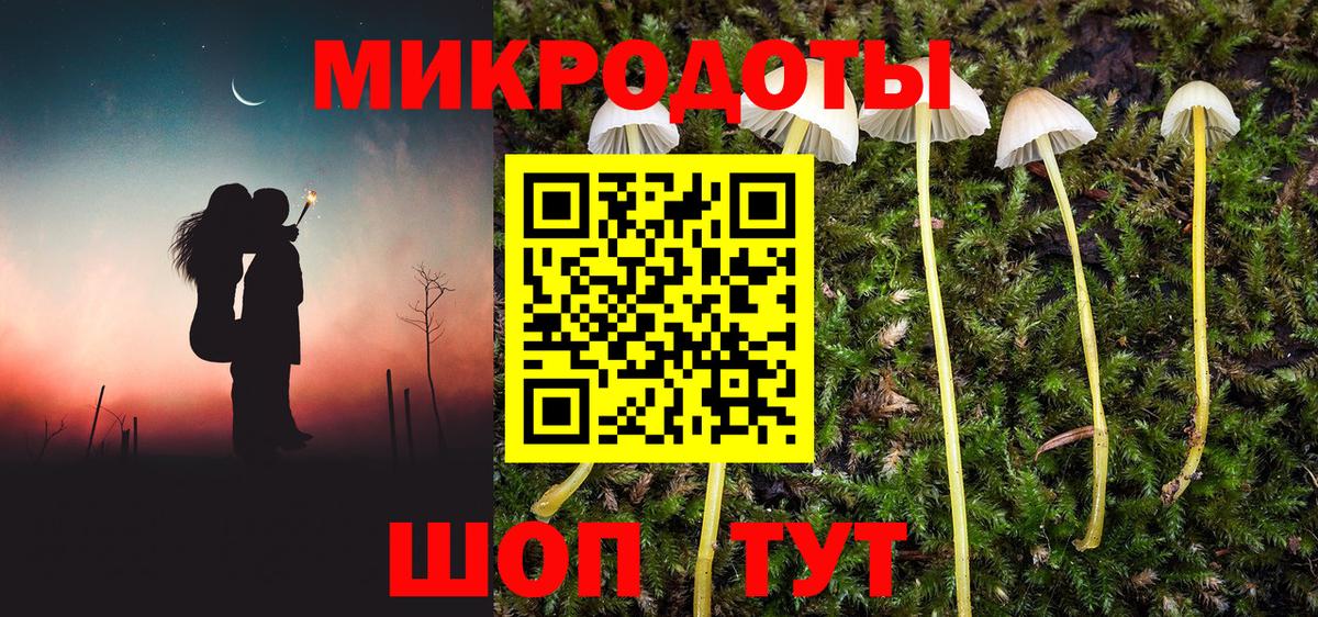 Галлюциногенные грибы Psilocybe  Верхняя Салда 