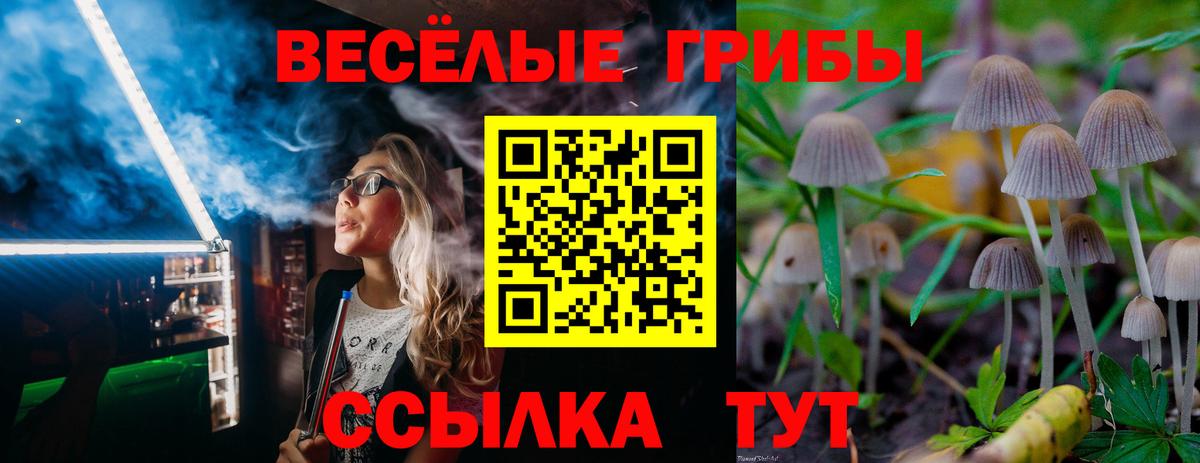 Верхняя Салда  Галлюциногенные грибы Psilocybe  Вход с VPN 